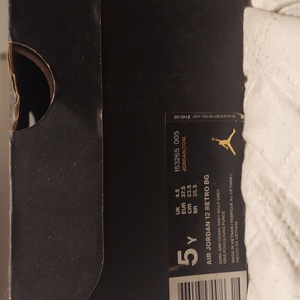 Air Jordan 12 Retro BG